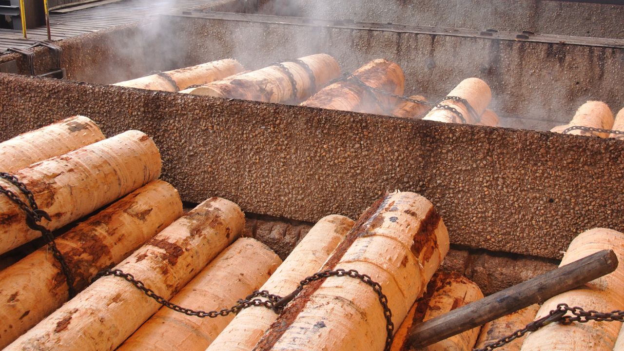 Is Fumigation Required for Timber Shipments