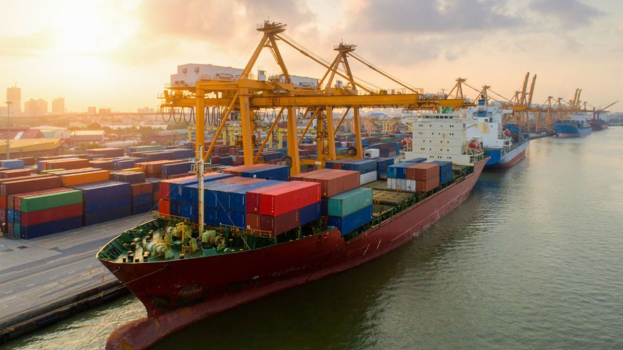 What Factors Affect Timber Shipping Transit Time