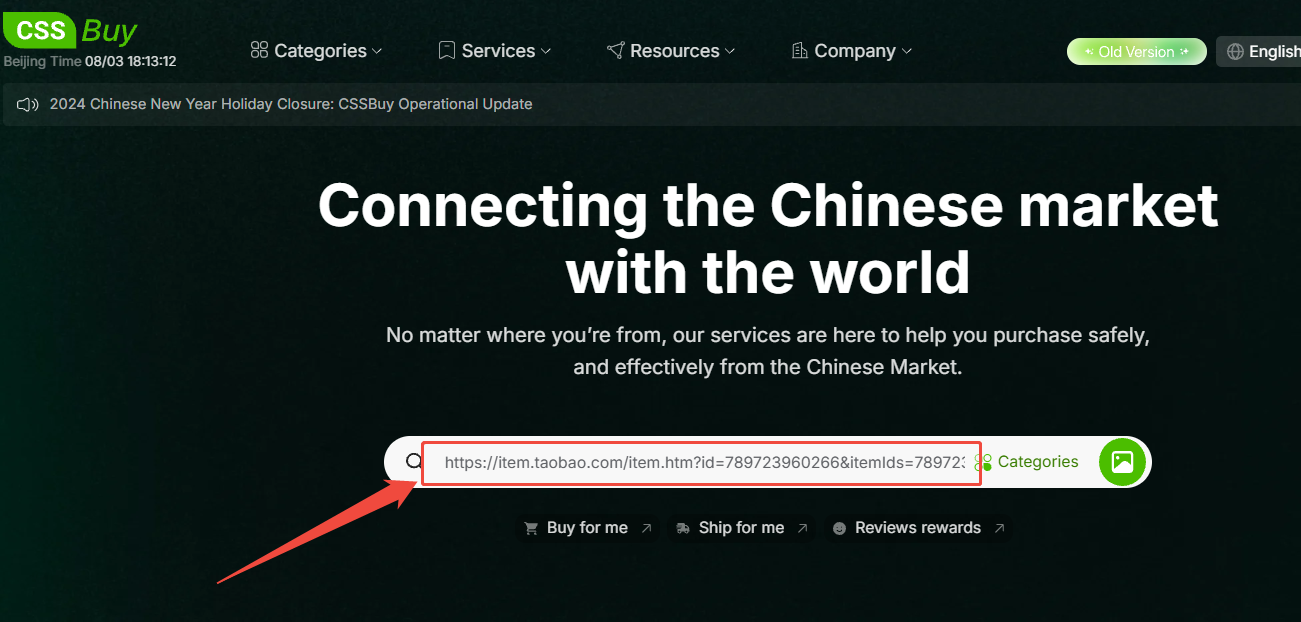 Taobao Agent in China