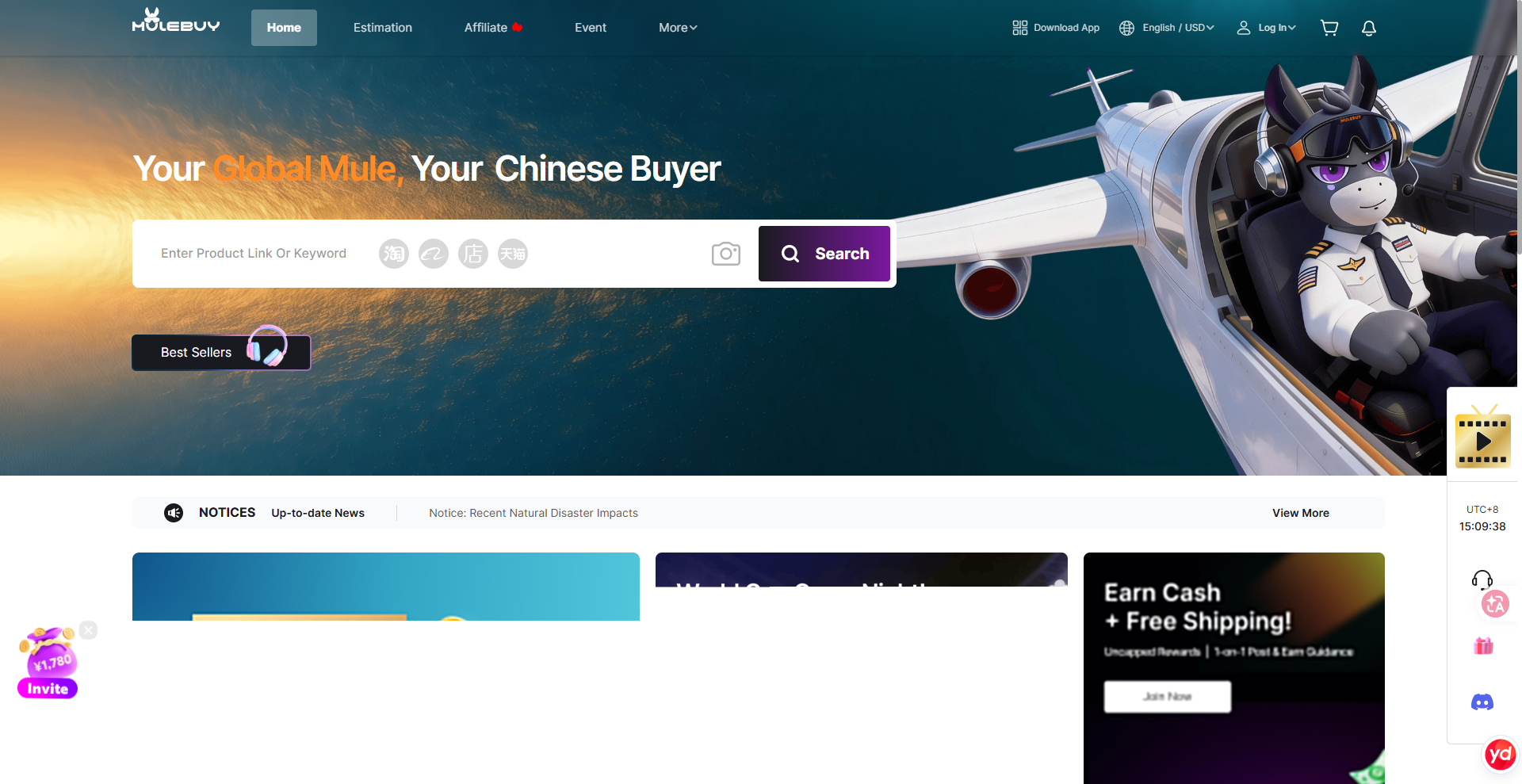 Taobao agent in China